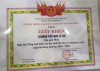 ngay hoi tieng anh festival (8)