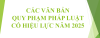 MỘT SỐ VĂN BẢN QUY PHẠM PHÁP LUẬT MỚI, CÓ HIỆU LỰC NĂM 2025